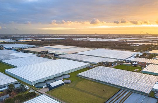 540x350_Glastuinbouw_Westland.jpg